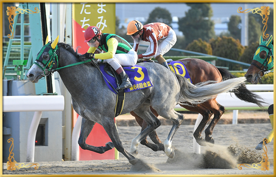 2022年優勝馬　フレッチャビアンカ号