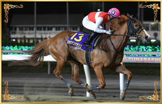 2022年優勝馬　ショウナンナデシコ号