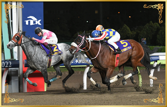 2022年優勝馬 シャマル号(外)