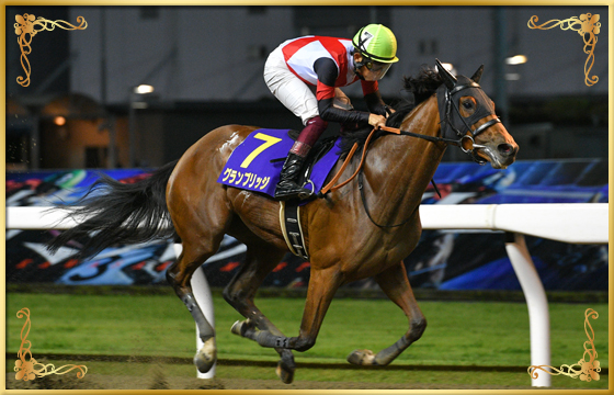 2022年優勝馬 グランブリッジ号