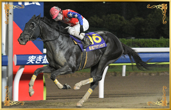 2022年優勝馬 ロードゴラッソ号