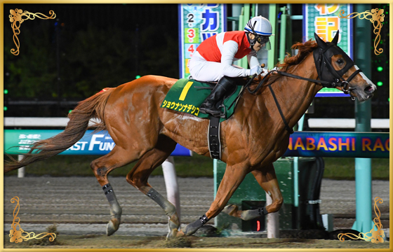 2022年優勝馬　ショウナンナデシコ号