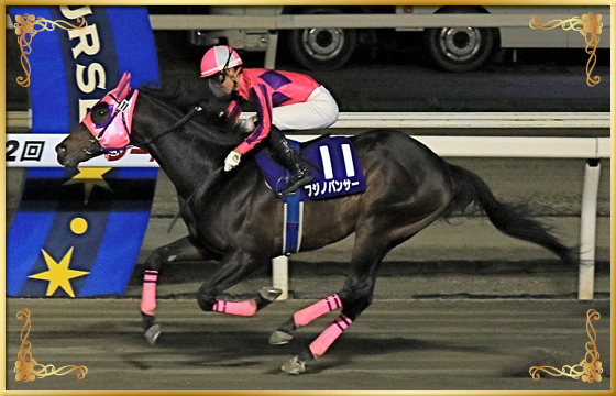 2022年優勝馬 フジノパンサー号