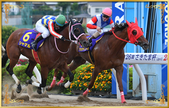 2022年優勝馬 サルサディオーネ号(内)