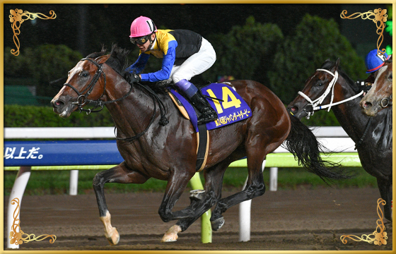 2022年優勝馬 ノットゥルノ号