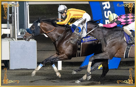 2022年優勝馬 ダンシングプリンス号
