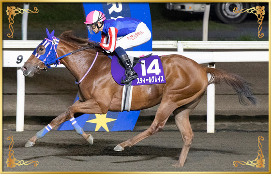 2022年優勝馬 スティールグレイス号
