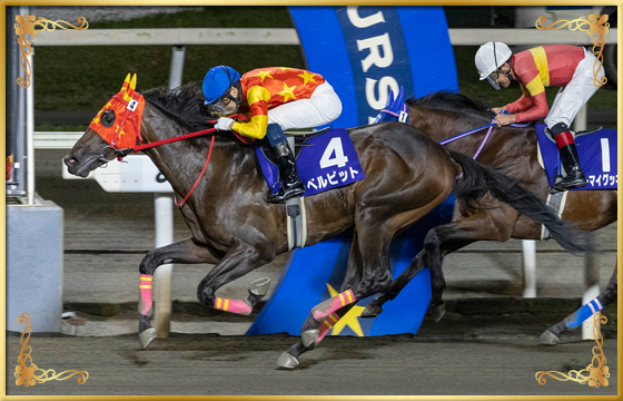 2022年優勝馬 ベルピット号