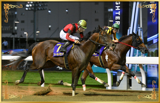 2022年優勝馬 フィールドセンス号(外)
