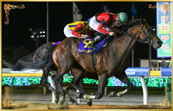 2022年優勝馬 フィールドセンス号
