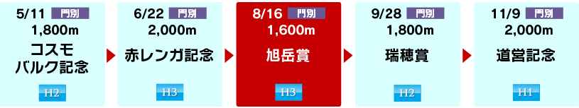 体系図 ~ホッカイドウ競馬古馬~