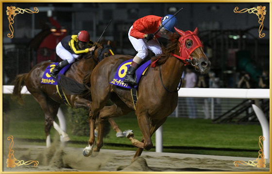 2022年優勝馬 スピーディキック号
