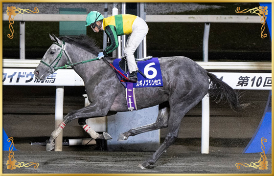 2022年優勝馬 スギノプリンセス号