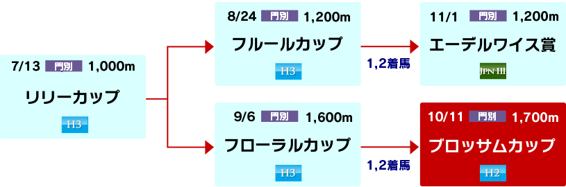 体系図　～ホッカイドウ競馬2歳牝馬～