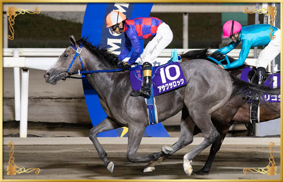 2022年優勝馬 アサクサロック号