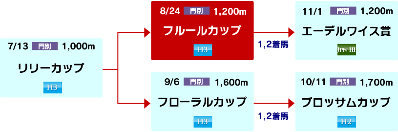 体系図　～ホッカイドウ競馬2歳牝馬～