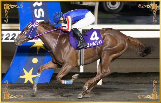 2022年優勝馬 スティールグレイス号