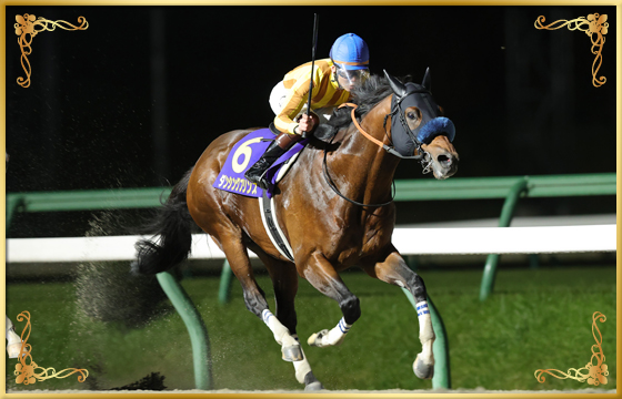 2022年優勝馬 ダンシングプリンス号