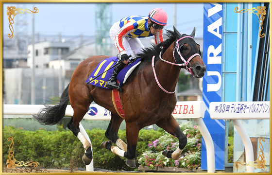 2022年優勝馬 シャマル号