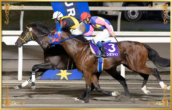 2022年優勝馬 スペシャルエックス号(内)