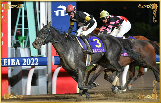 2022年優勝馬 プリティーチャンス号