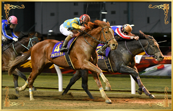 2022年優勝馬 デルマソトガケ号(外)