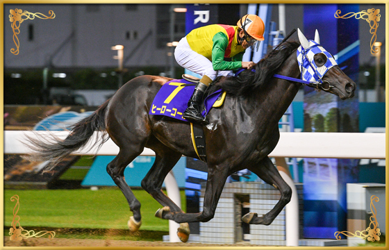 2022年優勝馬 ヒーローコール号