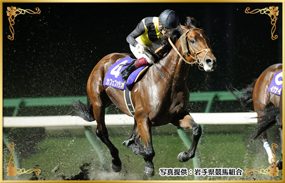 2022年優勝馬 カフェファラオ号