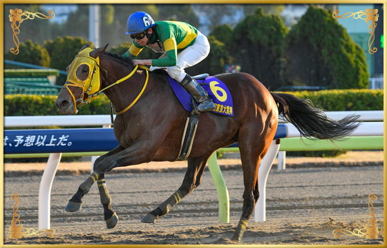 2022年優勝馬 ウシュバテソーロ号