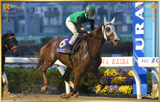 2022年優勝馬 クリノドラゴン号