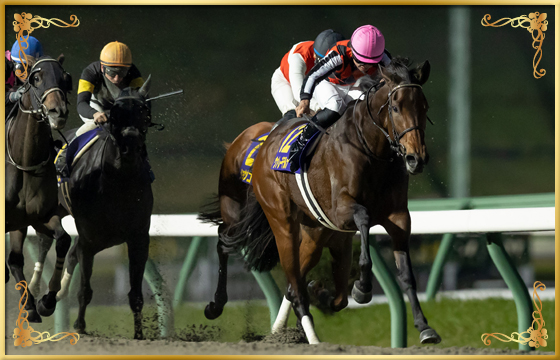 2022年優勝馬　ヴァレーデラルナ