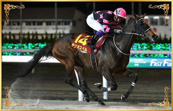 2022年優勝馬 テリオスベル号
