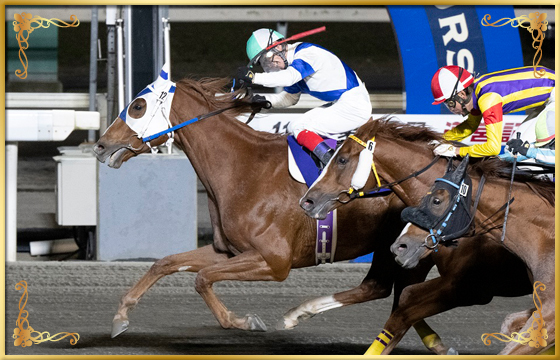 2022年優勝馬 サンビュート号