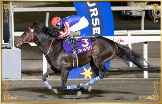 2022年優勝馬 スティールペガサス号