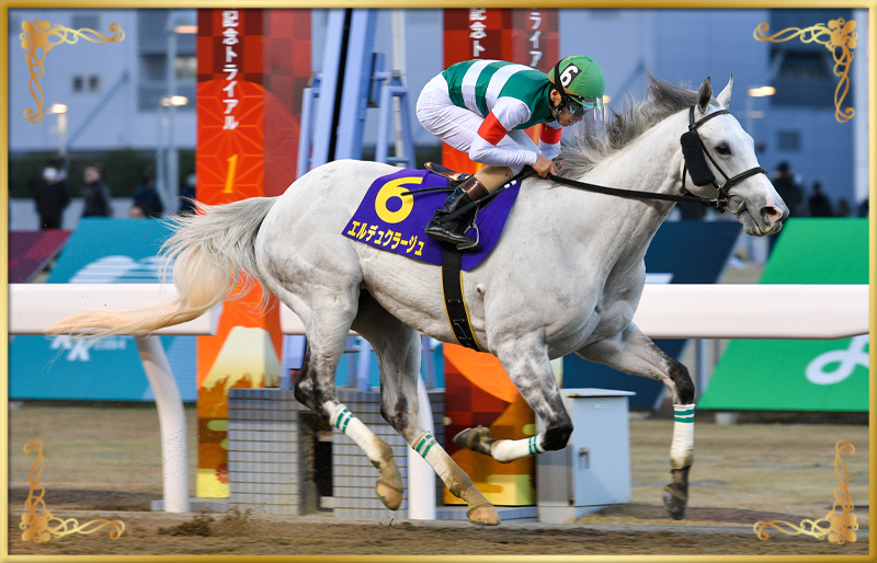 2023年優勝馬 エルデュクラージュ号