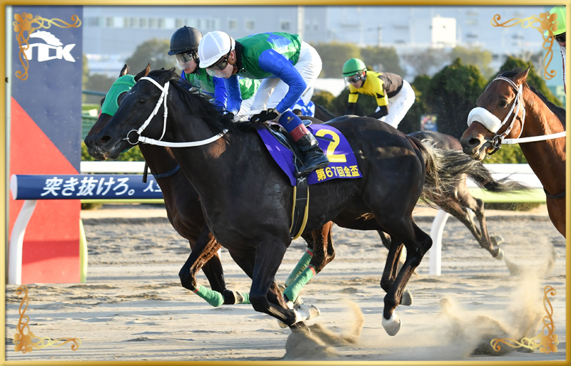 2023年優勝馬　カイル号