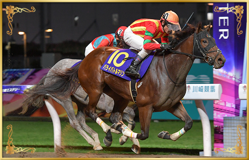 2023年優勝馬 パライバトルマリン号