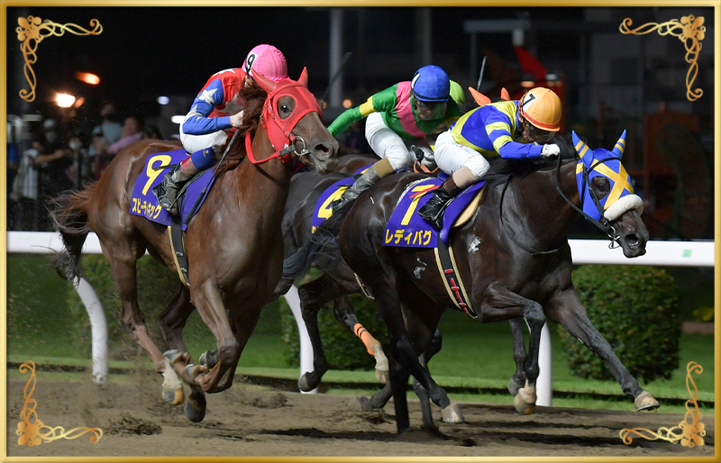 2023年優勝馬 レディバグ号