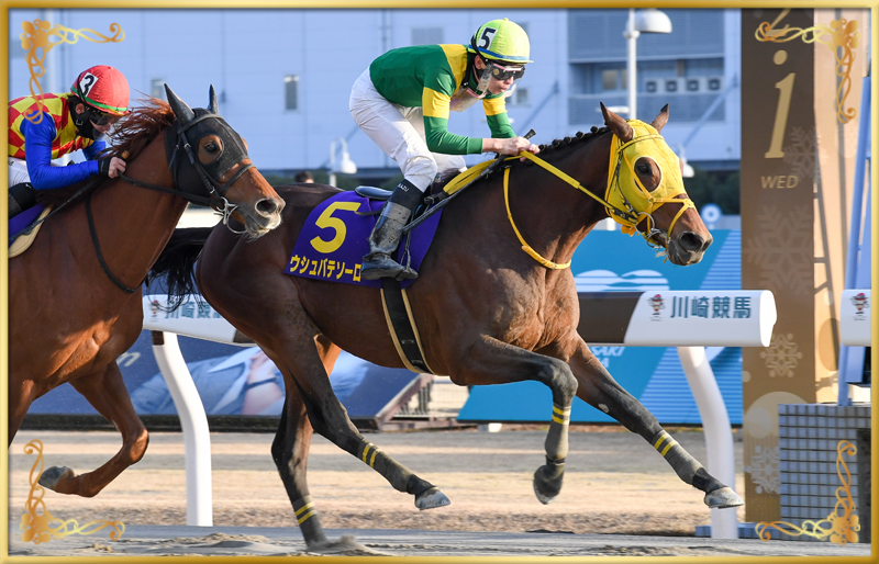 2023年優勝馬 ウシュバテソーロ号