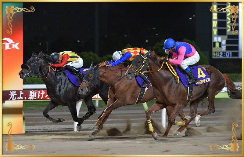 2023年優勝馬 メイショウハリオ号(大外)