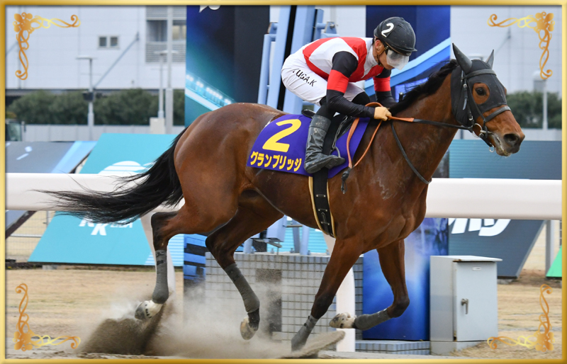 2023年優勝馬　グランブリッジ号