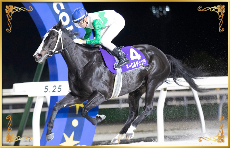 2023年優勝馬 ネーロルチェンテ号