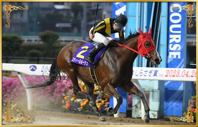 2023年優勝馬　スティールルージュ号