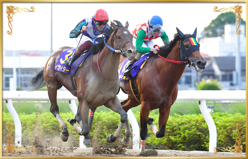 2023年優勝馬 イグナイター号(外)