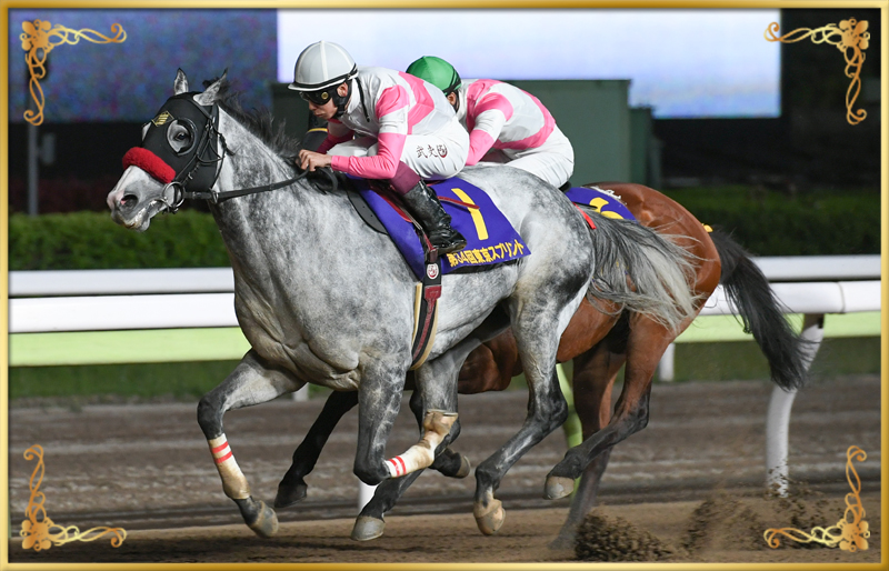 2023年優勝馬 リュウノユキナ号