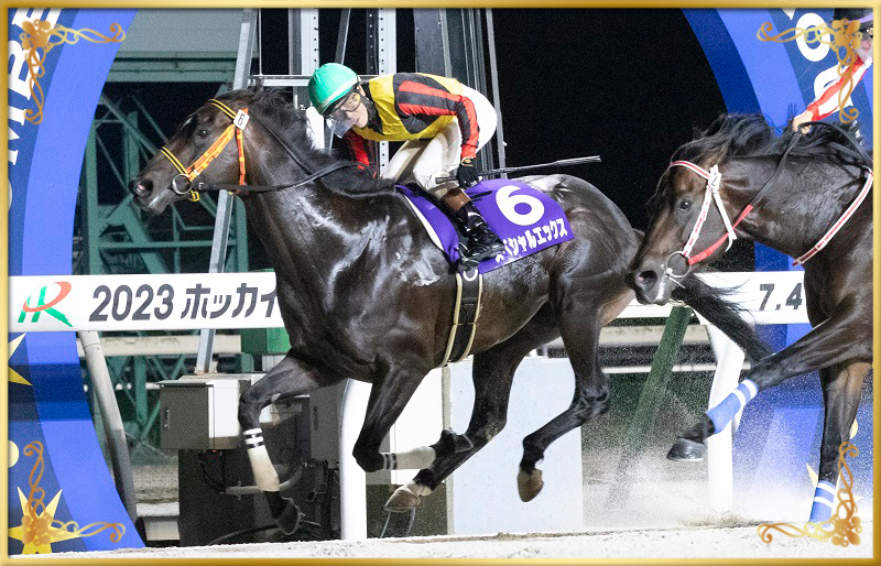 2023年優勝馬 スペシャルエックス号