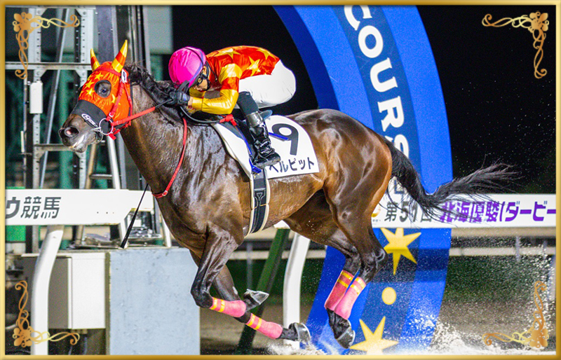 2023年優勝馬　ベルピット号