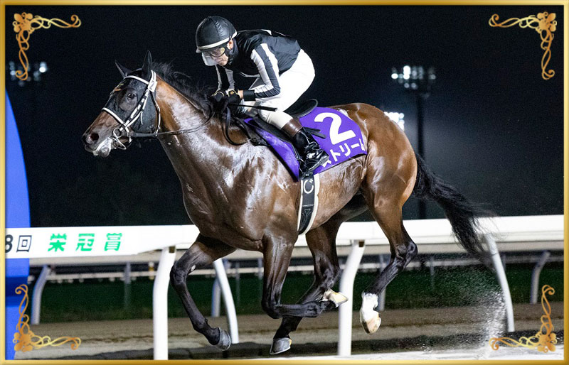 2023年優勝馬 ストリーム号