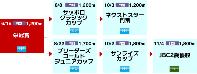 体系図 ~ホッカイドウ競馬2歳~