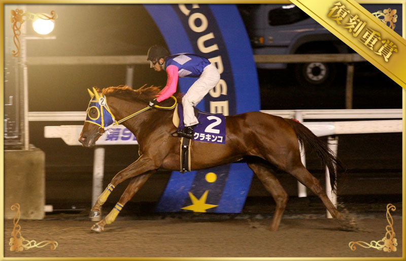 2010年優勝馬 クラキンコ号